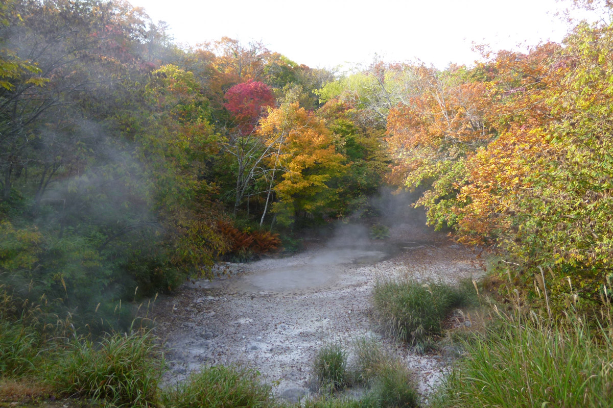 Bokke Nature Sightseeing Trail