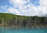 Biei-cho - Blue pond