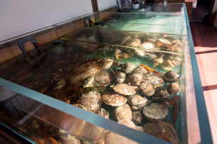 The entrance features a live seafood tank